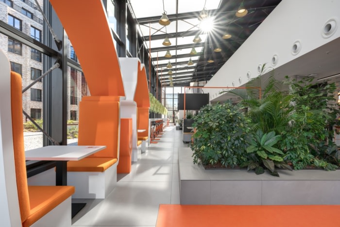 办公室装修中绿化装饰怎么布置更好